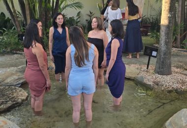 conexão com a natureza iluminare 2026